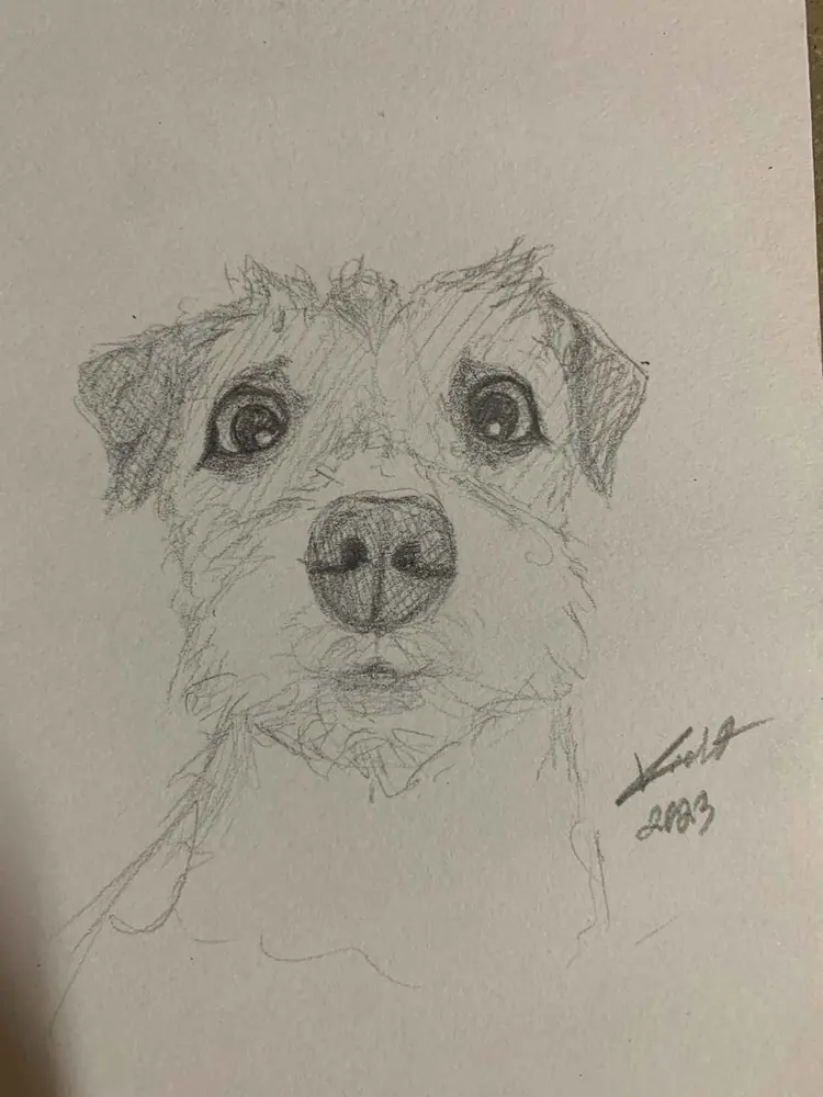 Dog — artwork by Violet Lobo